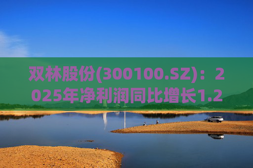 双林股份(300100.SZ):2025年净利润同比增长1.25% 拟10股派1元 第1张 双林股份(300100.SZ):2025年净利润同比增长1.25% 拟10股派1元 第1张