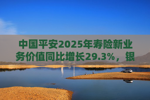 中国平安2025年寿险新业务价值同比增长29.3%，银保渠道爆发式同比138%