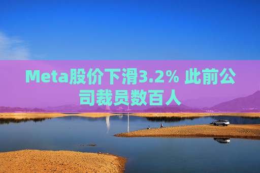 Meta股价下滑3.2% 此前公司裁员数百人