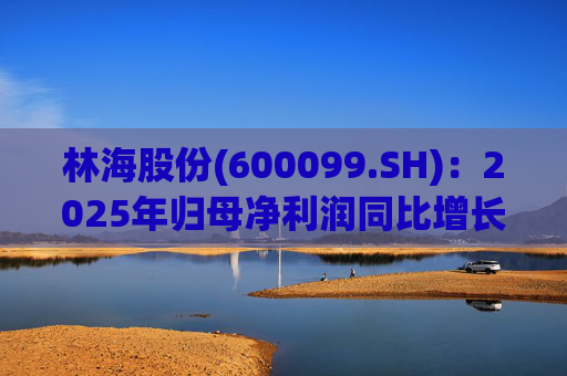 林海股份(600099.SH)：2025年归母净利润同比增长33.24%，每股拟派利0.045元