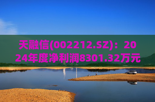 天融信(002212.SZ)：2024年度净利润8301.32万元 拟10派0.2元  第1张