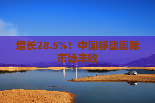 增长28.5%！中国移动国际市场丰收