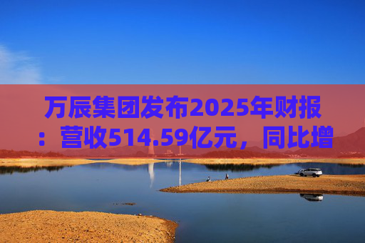 万辰集团发布2025年财报：营收514.59亿元，同比增长59.17%