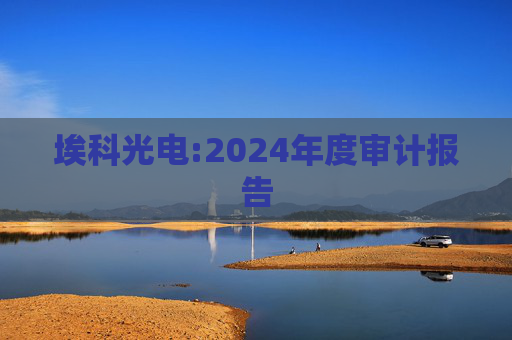 埃科光电:2024年度审计报告