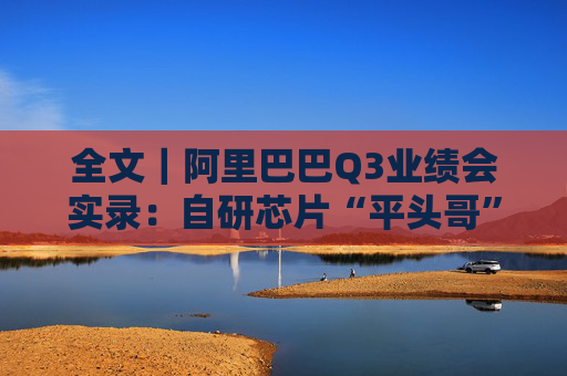 全文｜阿里巴巴Q3业绩会实录：自研芯片“平头哥”未来不排除IPO  第1张