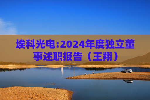 埃科光电:2024年度独立董事述职报告（王翔）  第1张