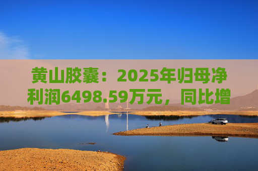 黄山胶囊：2025年归母净利润6498.59万元，同比增长31.94%