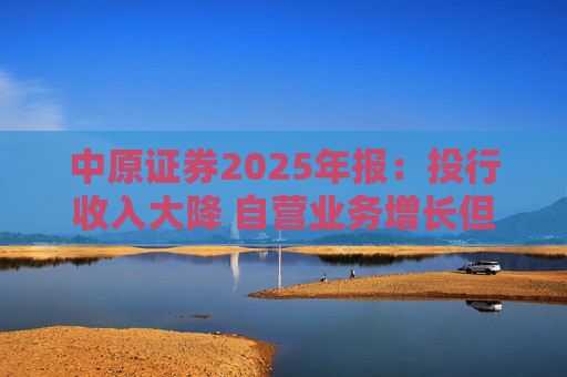 中原证券2025年报：投行收入大降 自营业务增长但趋于保守  第1张