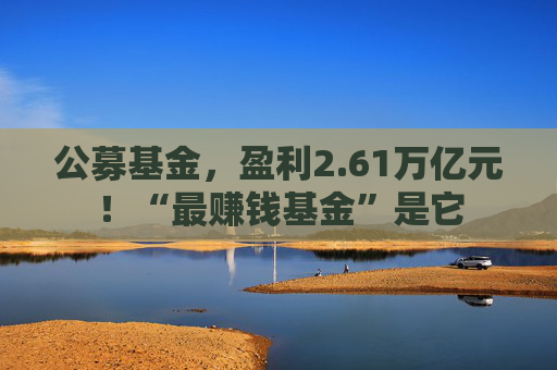 公募基金，盈利2.61万亿元！“最赚钱基金”是它