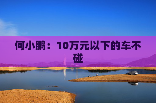 何小鹏：10万元以下的车不碰