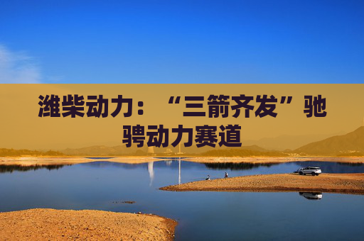 潍柴动力：“三箭齐发”驰骋动力赛道