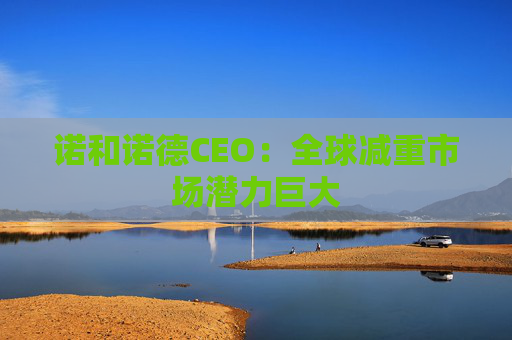 诺和诺德CEO：全球减重市场潜力巨大