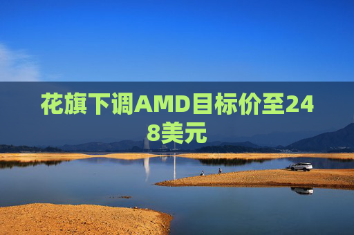 花旗下调AMD目标价至248美元  第1张