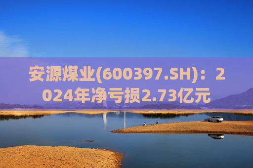 安源煤业(600397.SH)：2024年净亏损2.73亿元