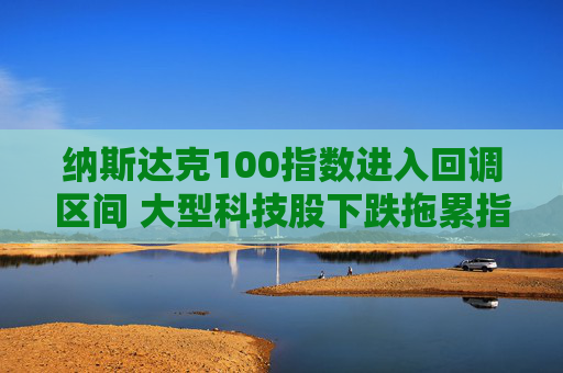 纳斯达克100指数进入回调区间 大型科技股下跌拖累指数走低11%  第1张