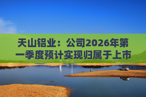 天山铝业：公司2026年第一季度预计实现归属于上市公司股东的净利润220000万元