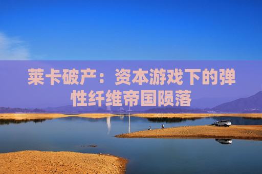 莱卡破产：资本游戏下的弹性纤维帝国陨落