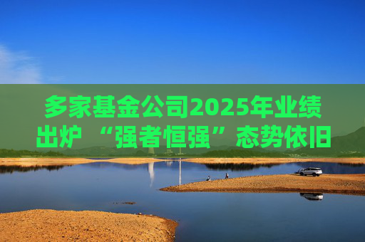 多家基金公司2025年业绩出炉 “强者恒强”态势依旧
