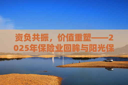资负共振，价值重塑――2025年保险业回眸与阳光保险样本