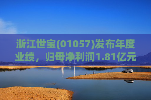 浙江世宝(01057)发布年度业绩，归母净利润1.81亿元 同比增加21.05%  第1张