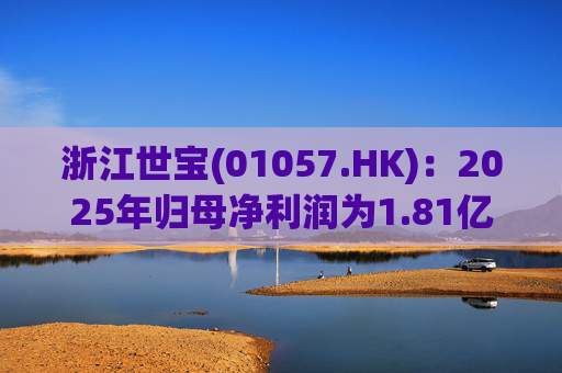 浙江世宝(01057.HK):2025年归母净利润为1.81亿元 同比增加21.05% 第1张 浙江世宝(01057.HK):2025年归母净利润为1.81亿元 同比增加21.05% 第1张