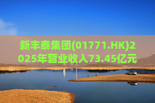 新丰泰集团(01771.HK)2025年营业收入73.45亿元，同比下降14.7%  第1张