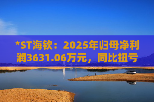 *ST海钦：2025年归母净利润3631.06万元，同比扭亏为盈