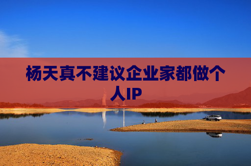 杨天真不建议企业家都做个人IP