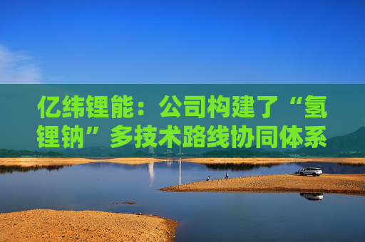 亿纬锂能：公司构建了“氢锂钠”多技术路线协同体系