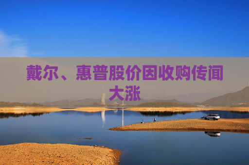 戴尔、惠普股价因收购传闻大涨  第1张