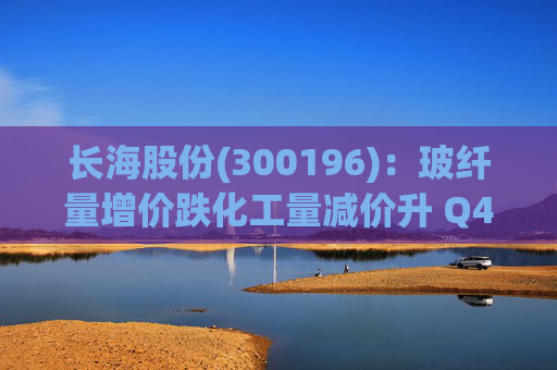 长海股份(300196):玻纤量增价跌化工量减价升 Q4业绩同比显著修复 第1张 长海股份(300196):玻纤量增价跌化工量减价升 Q4业绩同比显著修复 第1张