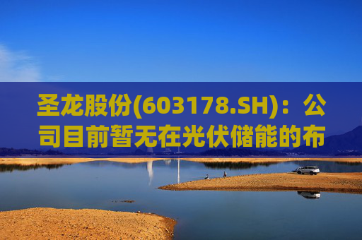 圣龙股份(603178.SH)：公司目前暂无在光伏储能的布局  第1张