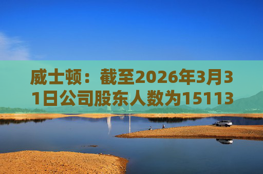 威士顿：截至2026年3月31日公司股东人数为15113户