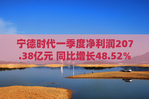 宁德时代一季度净利润207.38亿元 同比增长48.52%