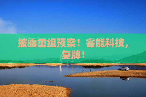 披露重组预案！睿能科技，复牌！