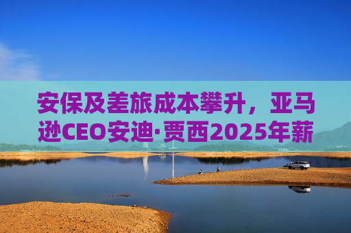 安保及差旅成本攀升，亚马逊CEO安迪·贾西2025年薪酬涨至210万美元