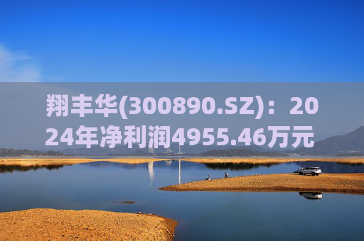 翔丰华(300890.SZ)：2024年净利润4955.46万元 同比下降40.23%  第1张