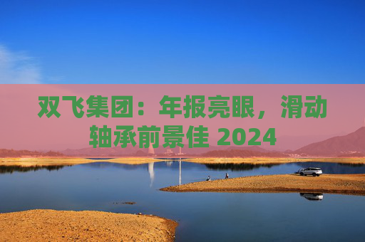 双飞集团：年报亮眼，滑动轴承前景佳 2024