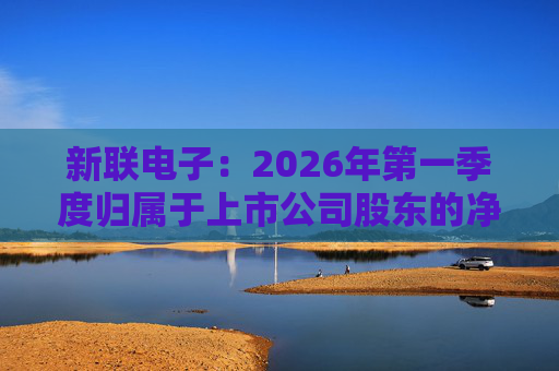 新联电子：2026年第一季度归属于上市公司股东的净利润是91152716.65元