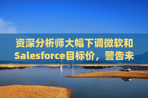 资深分析师大幅下调微软和Salesforce目标价，警告未来一年将"艰难"