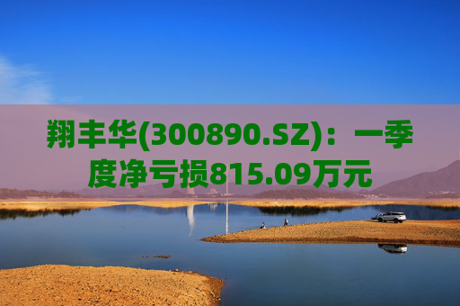 翔丰华(300890.SZ)：一季度净亏损815.09万元  第1张