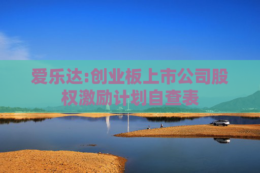 爱乐达:创业板上市公司股权激励计划自查表