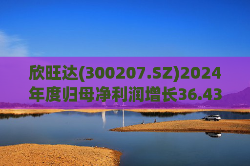 欣旺达(300207.SZ)2024年度归母净利润增长36.43%至14.68亿元,动力电池出货量合计25.29GWh