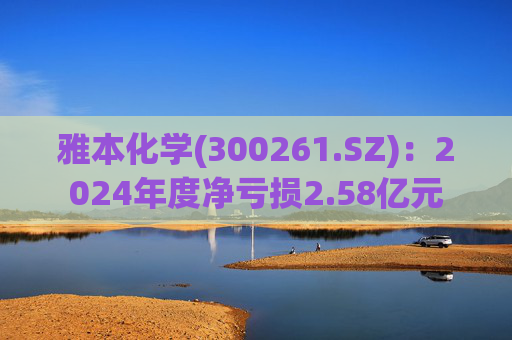 雅本化学(300261.SZ):2024年度净亏损2.58亿元 第1张 雅本化学(300261.SZ):2024年度净亏损2.58亿元 第1张