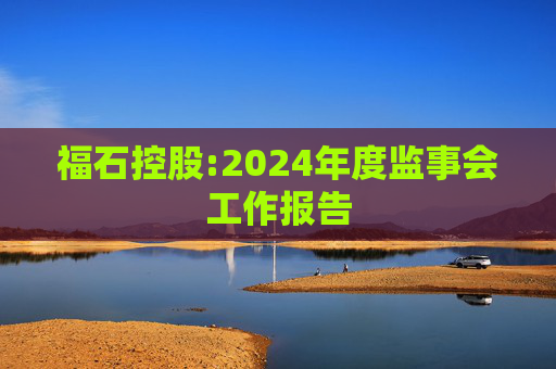福石控股:2024年度监事会工作报告  第1张