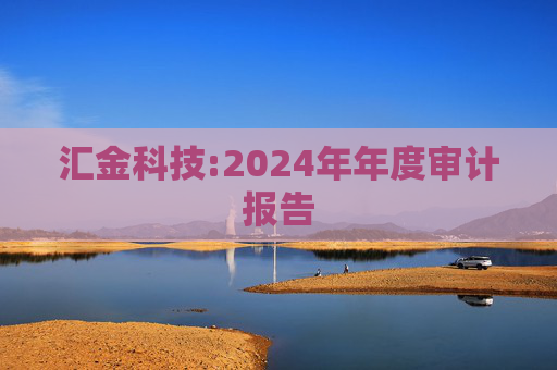 汇金科技:2024年年度审计报告