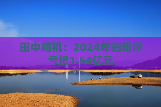 田中精机:2024年归母净亏损1.54亿元