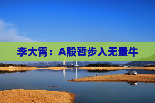 李大霄：A股暂步入无量牛  第1张