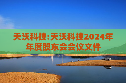 天沃科技:天沃科技2024年年度股东会会议文件