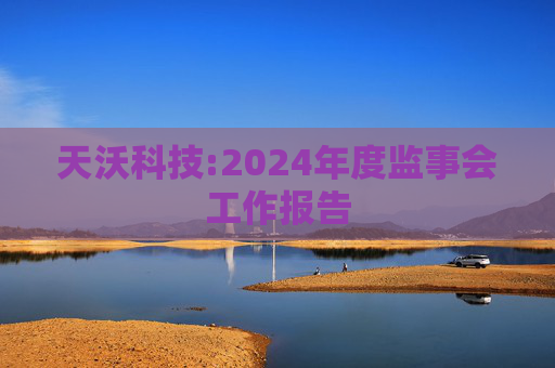 天沃科技:2024年度监事会工作报告